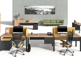 Мебель для персонала Эвалюшн / Evolution images
