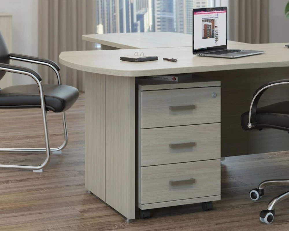 Кабинет руководителя Бонн / Bonn