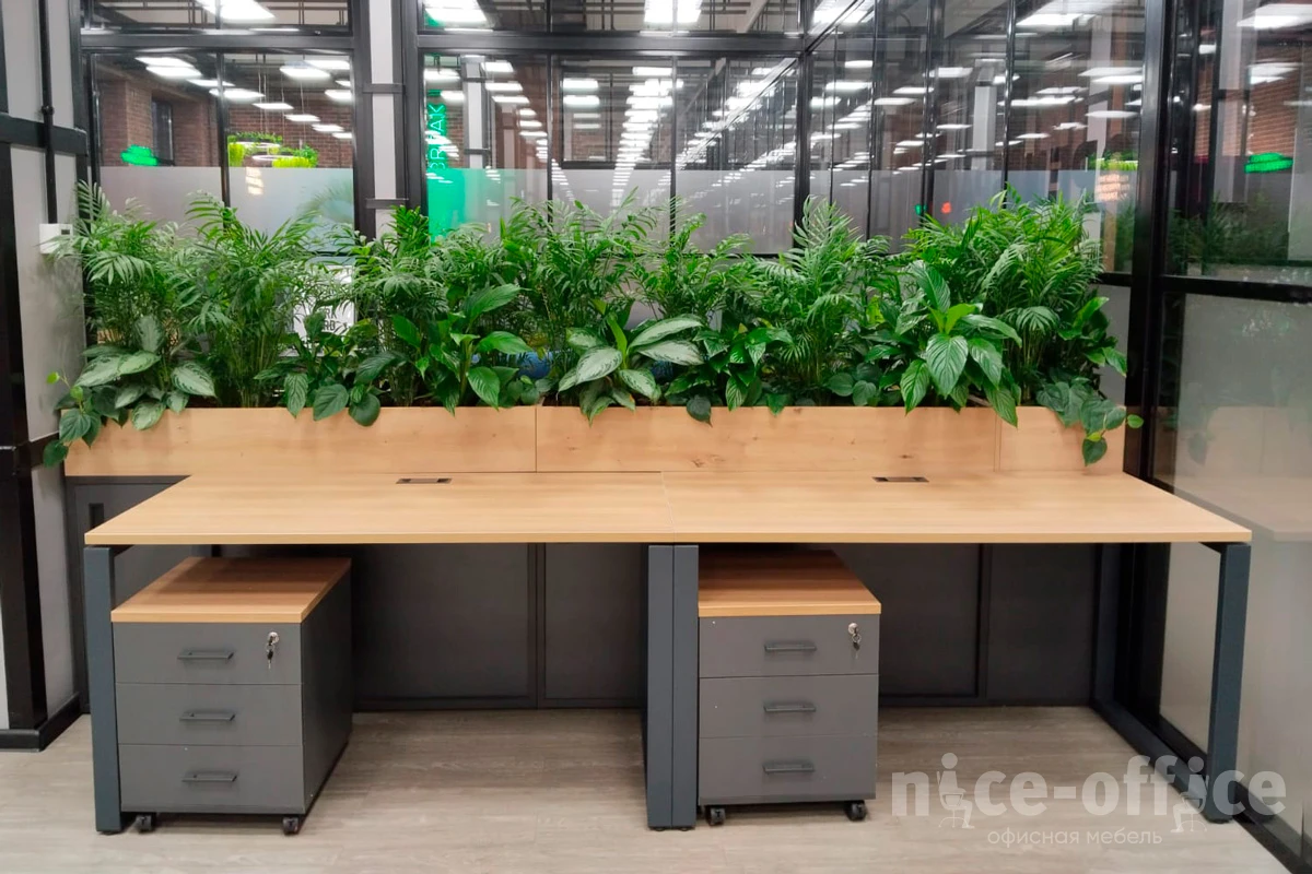 Мебель для персонала Evolution фото в интерьере 1