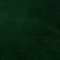 орегон antik 41