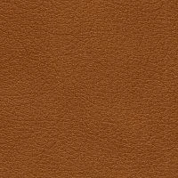 CONSUL-Bicolore-Ontano-5030-Y65R